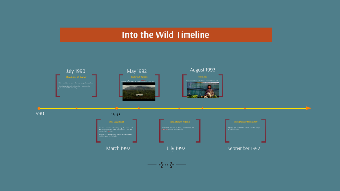 into-the-wild-timeline-sample-by-samantha-schuermann