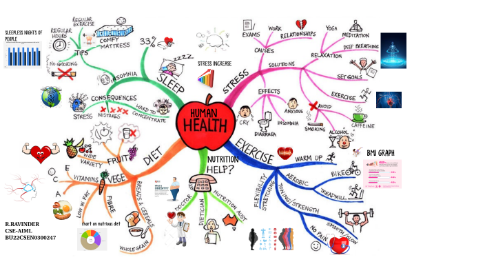HUMAN HEALTH MIND MAPPING by Rudraksha Ravinder 22111108101