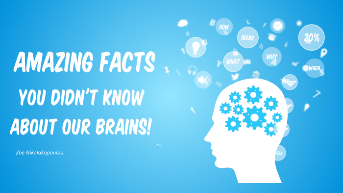 AMAZING FACTS YOU DIDN'T KNOW ABOUT OUR BRAINS! by Nikolakopoulos ...