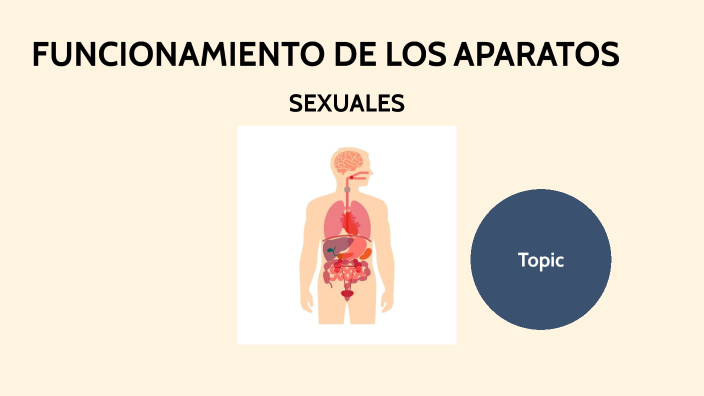 Funcionamiento De Los Aparatos Sexuales By Abigail Romero Trejo On Prezi Next 8821