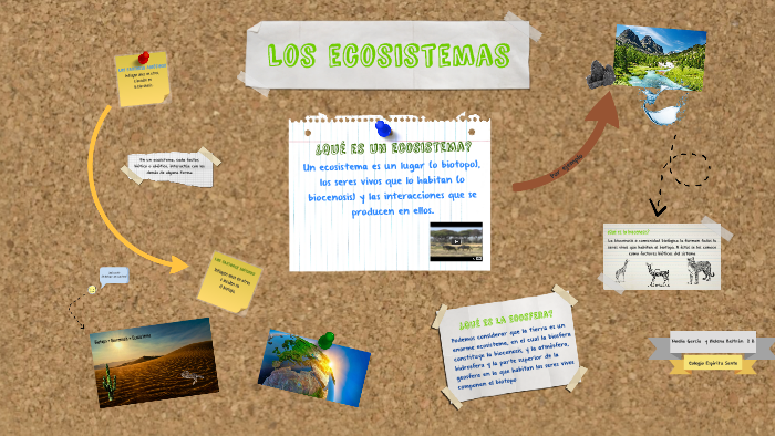 Los ecosistemas by Helena Beltrán Fernández on Prezi