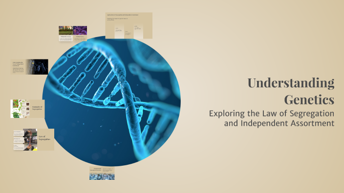 Understanding Genetics by Angel Mary on Prezi