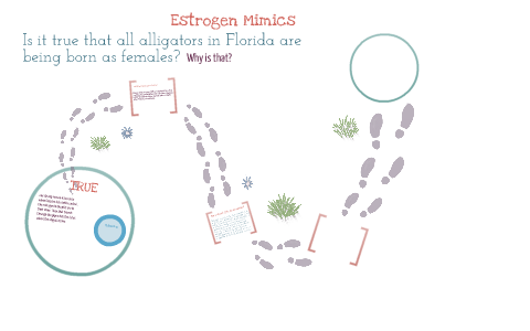 Estrogen Mimics presentation by kim brooker on Prezi