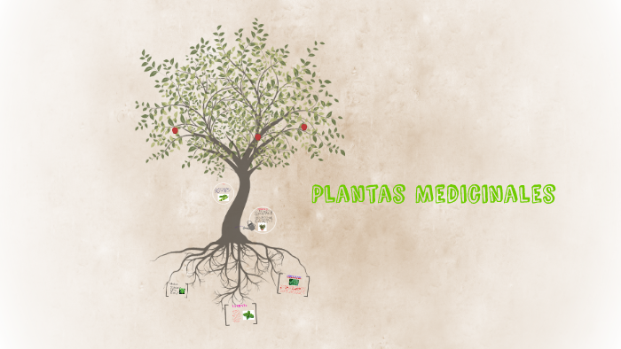 Plantas Medicinales by María Belenchis Fernández Méndez on Prezi