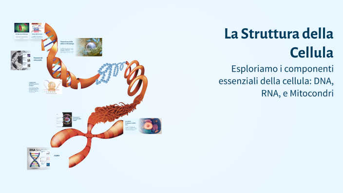 La Struttura della Cellula by Giulia Spa on Prezi