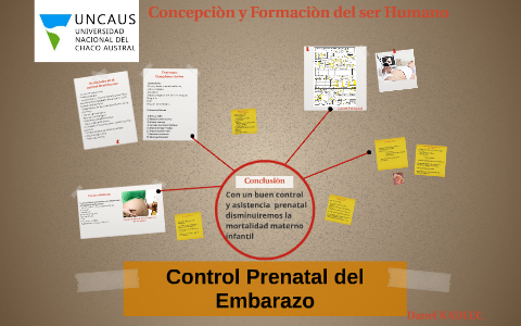 Control Prenatal del Embarazo by Danel Kadlec on Prezi