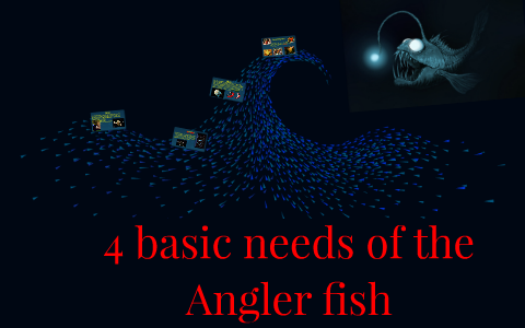 4 basic needs of the angler fish by My Prezis on Prezi
