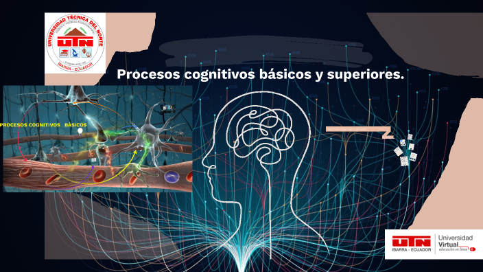 Procesos Cognitivos Básicos Y Superiores By David Fernandez On Prezi 9120