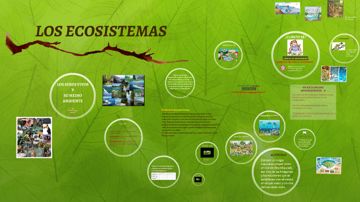 LOS SERES VIVOS Y SU MEDIO AMBIENTE by Martha Gallo Gomez on Prezi