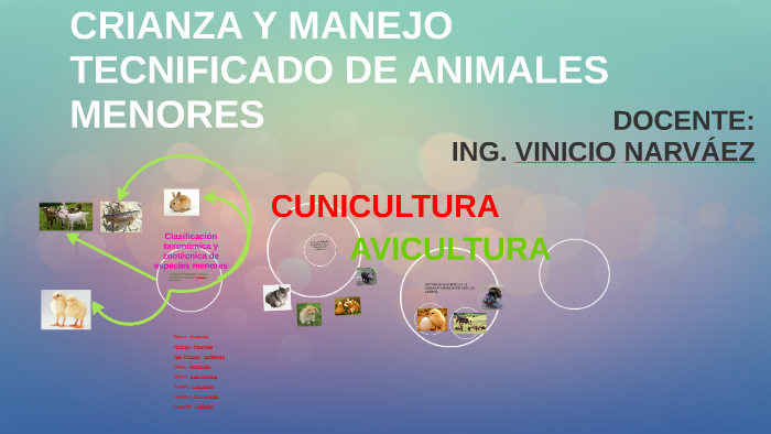 Clasificacion Taxonomica De Un Animal – Blog Blast Silonc