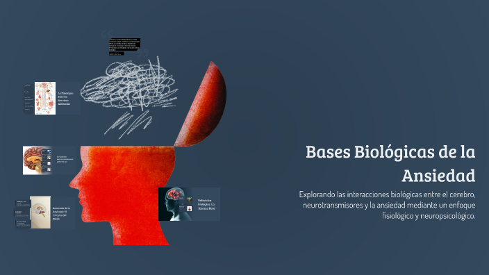 Bases Biológicas de la Ansiedad by KETTY CHAVEZ on Prezi