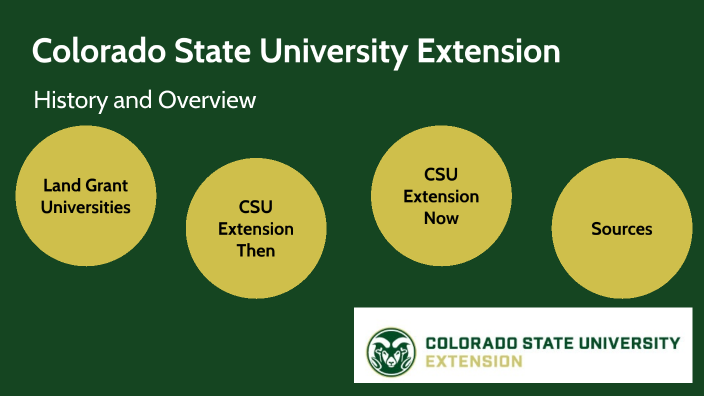 assignment extension csu