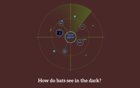 How do bats see in the dark? by Will Viola on Prezi