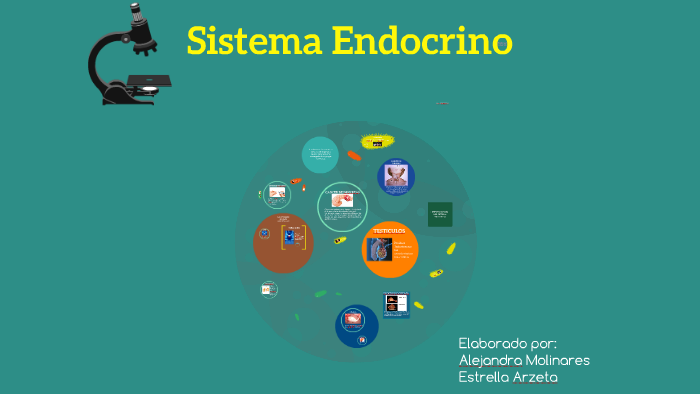 Sistema Endocrino by estrella diego on Prezi