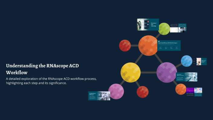Understanding the RNAscope ACD Workflow by SOlinA Pt on Prezi