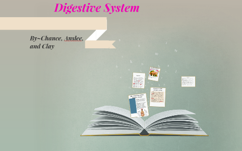 Digestive System by tori brown on Prezi