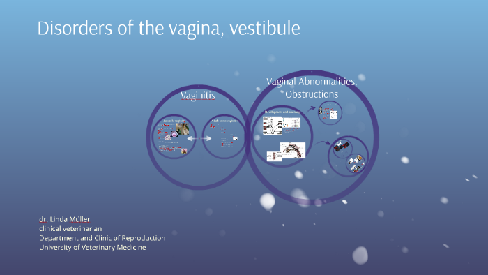 Disorders of the vagina, vestibule2020 by Linda Müller on Prezi