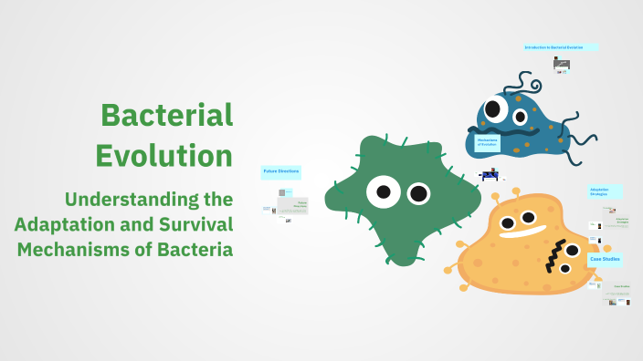 Bacterial Evolution by Zanyar Khdir on Prezi