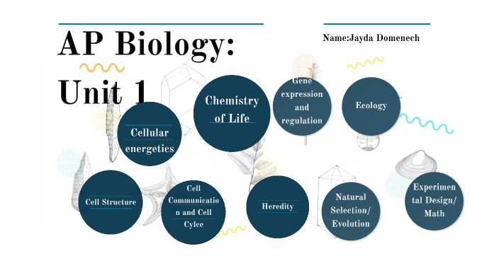 does ap bio have essays