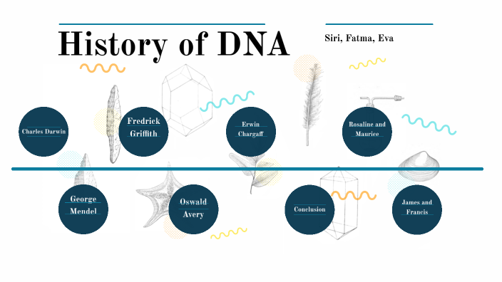 History Of Dna By Eva Fig On Prezi 9355