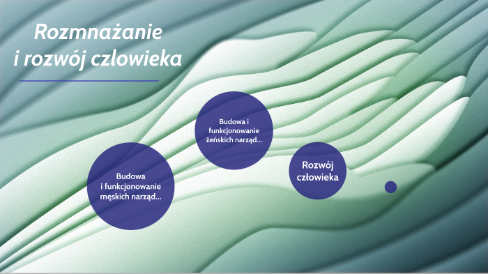 Rozmnażanie i rozwój człowieka by Michał Śniady on Prezi