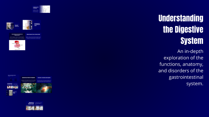 Understanding the Digestive System by Dina Najat on Prezi