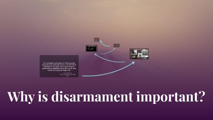 why-is-disarmament-important-by