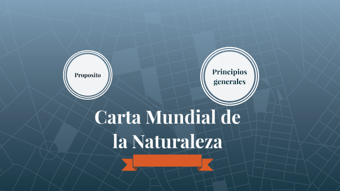 Carta Mundial de la Naturaleza by German Arceo on Prezi