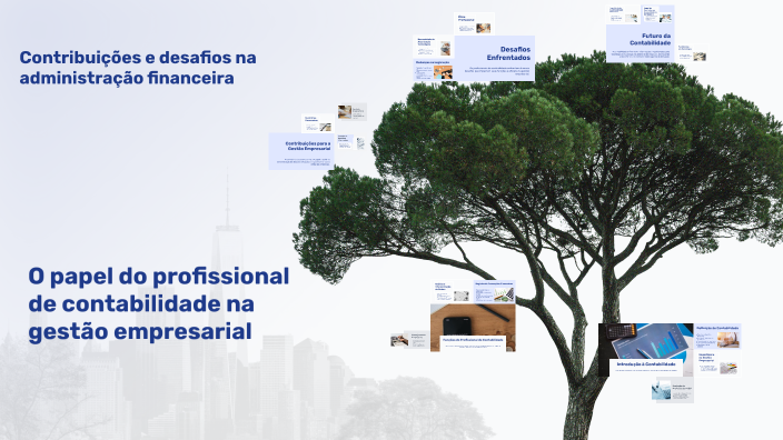 O papel do profissional de contabilidade na gestão empresarial by ...