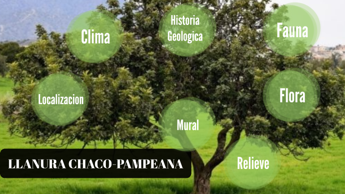 Lanura chaco pampeana by Cami Hualpa on Prezi