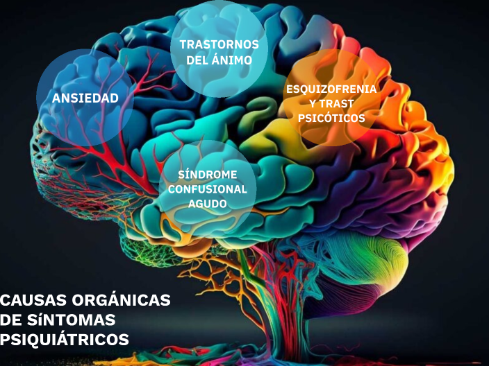 Enfermedades organicas by ivo Sisko on Prezi