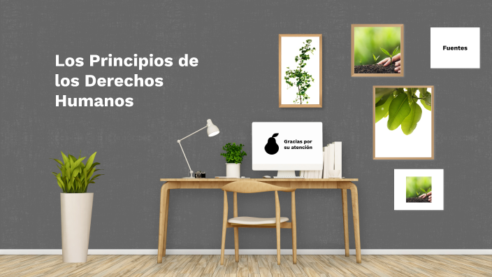Los principios de los derechos humanos by on Prezi