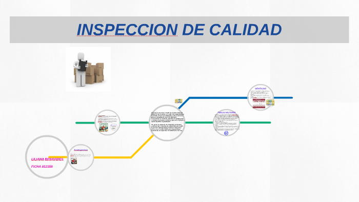 Finalidad De La Inspeccion De Calidad