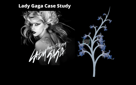 Gaga case study 08 image