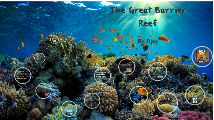 Great Barrier Reef By Ajay B.