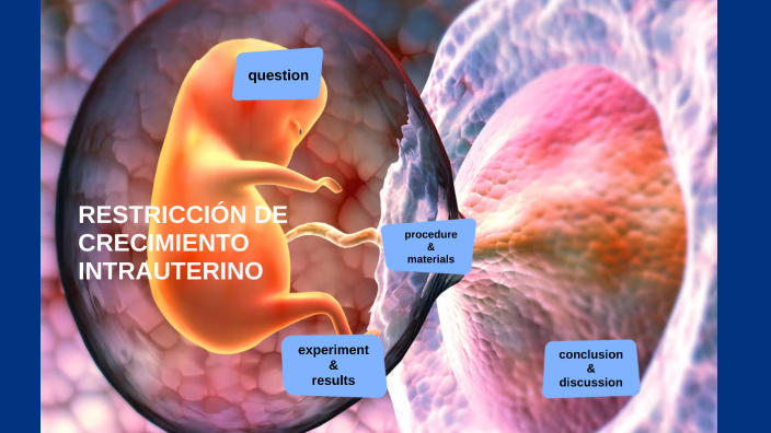 Restricción De Crecimiento Intrauterina By Edith J Hernández 