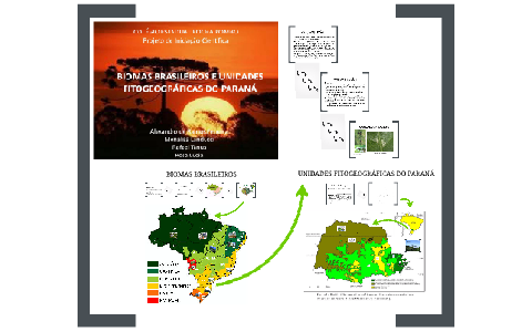 BIOMAS BRASILEIROS by Rafael Tanus Araujo dos Santos on Prezi