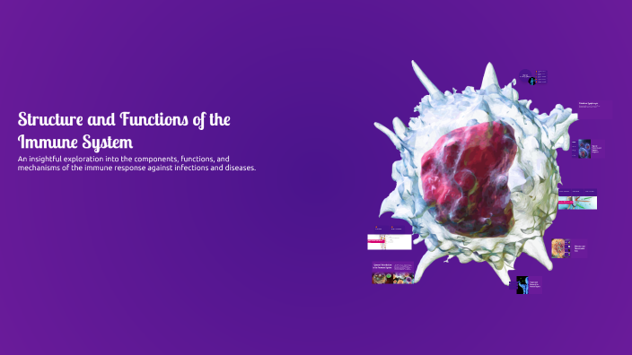 Structure and Functions of the Immune System by Diep Nguyen on Prezi