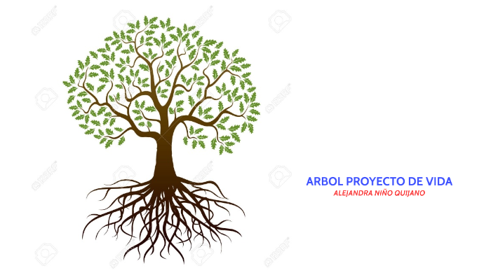 Arbol Proyecto De Vida By Alejandra Niño Quijano On Prezi 1466