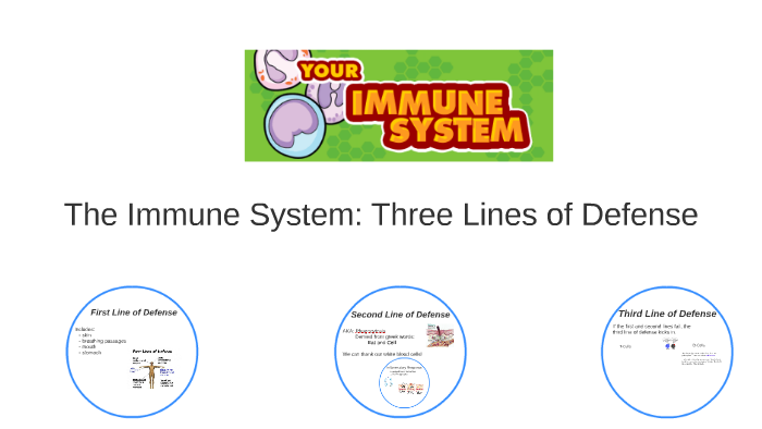 in the human immune system the three general lines of defense are