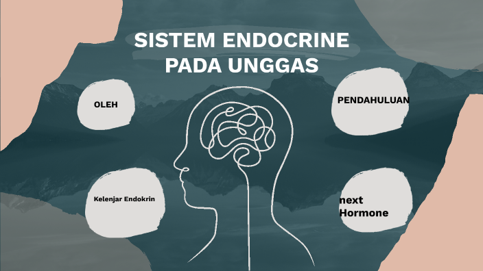 Sistem Endocrine Ternak Unggas By Mariani Nababan On Prezi