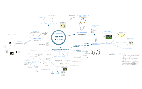 Natural Selection Mind Map Biology Mind Map On Evolution By Luke Klein