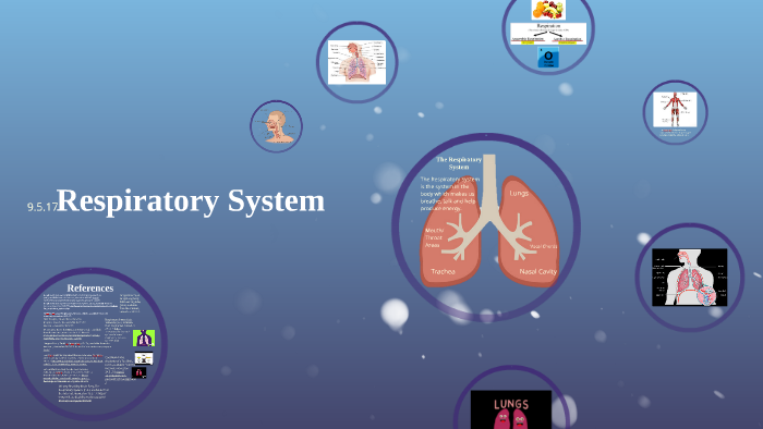 Respiratory System by Adam Galant on Prezi