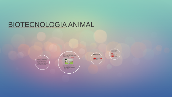 BIOTECNOLOGIA ANIMAL by kevin Ap on Prezi