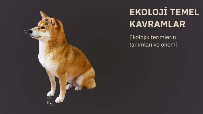EKOLOJİ TEMEL KAVRAMLAR by Fatma Betül Ünsal on Prezi