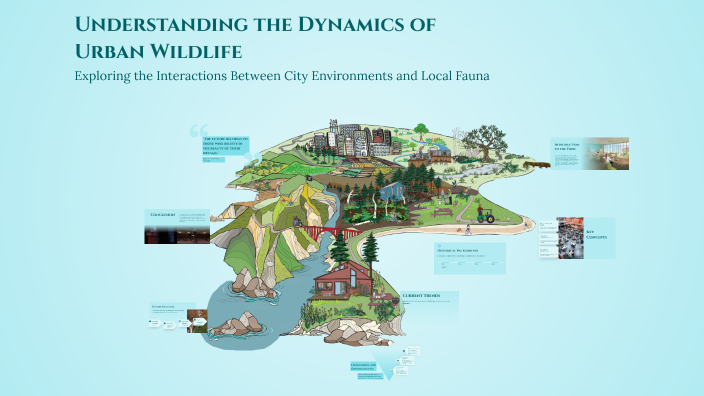 Understanding the Dynamics of Urban Wildlife by Youssef Boles on Prezi