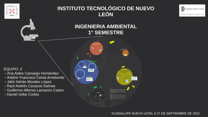 Estructura Y Función Celular By Briceide Alaniz On Prezi