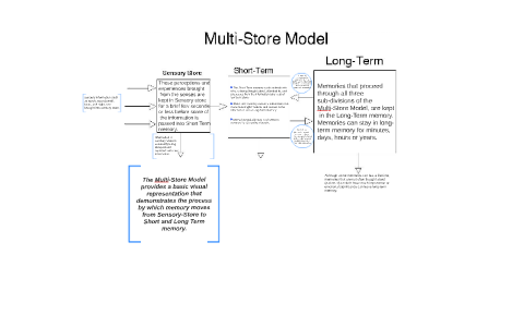 The Multi-Store Model Shows a basic visual representation of by ...