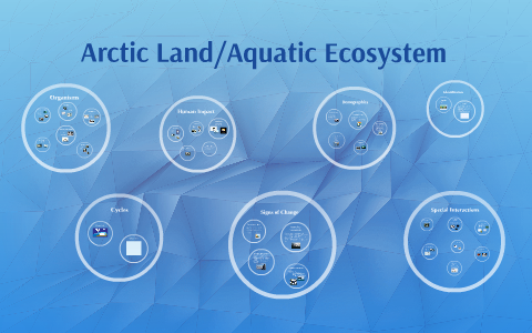 Arctic Land/Aquatic Ecosystem by Taylor Gamboa on Prezi