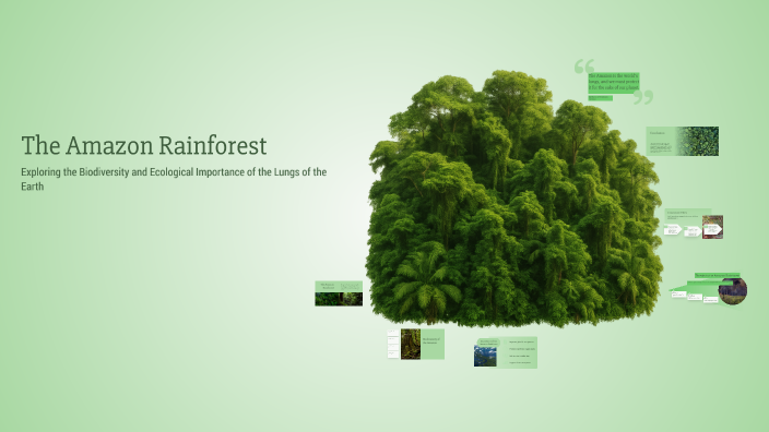 The Amazon Rainforest by Michelle Asiedu on Prezi